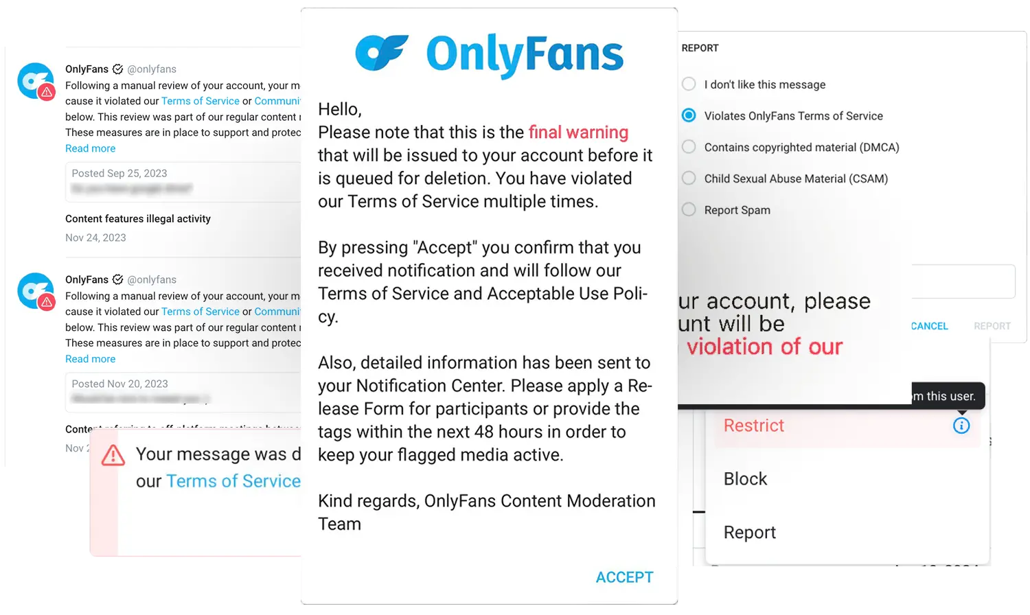 Screenshot of an OnlyFans warning notice